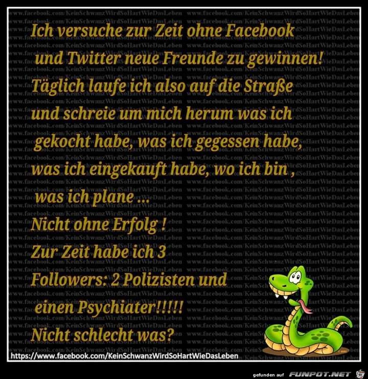 Followers Followers