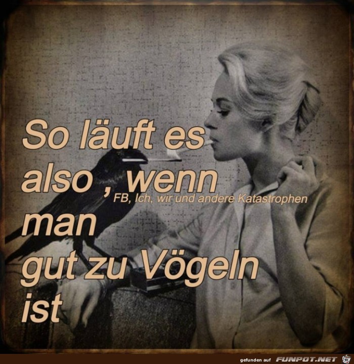 Gut zu Vgel