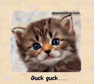 guck guck guck guck