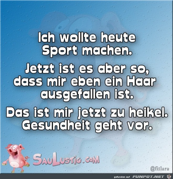 Ich-wollte-heute-Sport-machen Ich-wollte-heute-Sport-machen