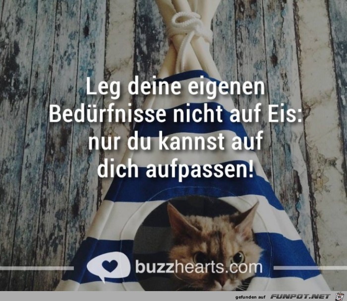 eis eis