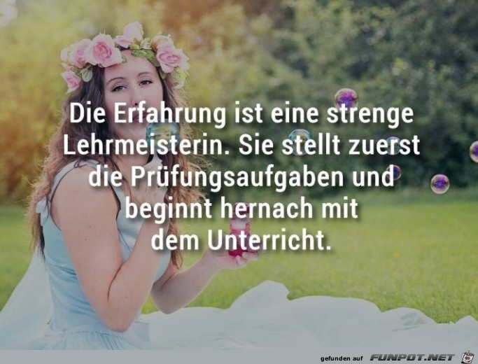 erfahrung