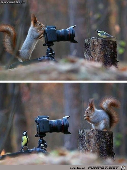 nur ein paar nette Bilder 1 nur ein paar nette Bilder 1