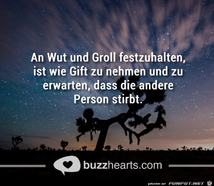 gift gift