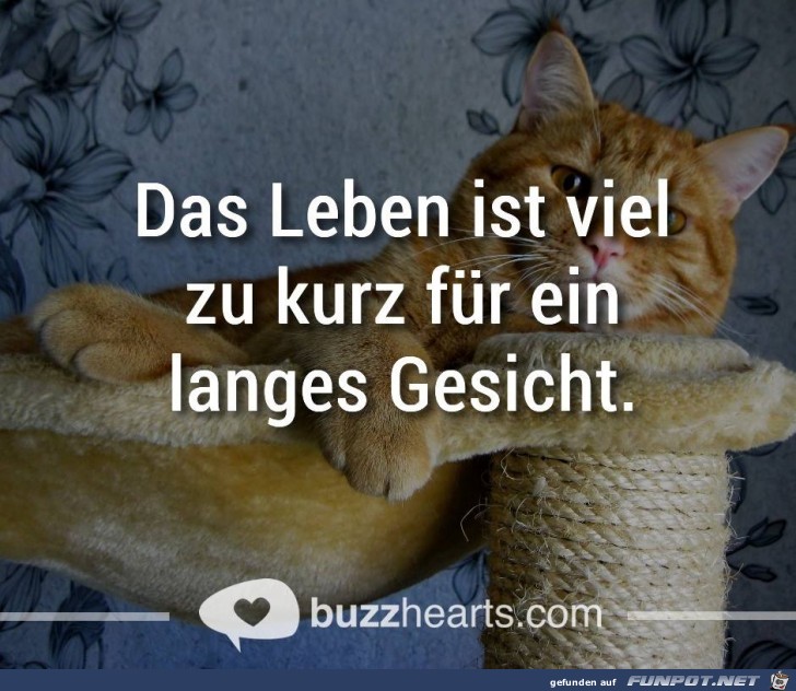 gesicht gesicht