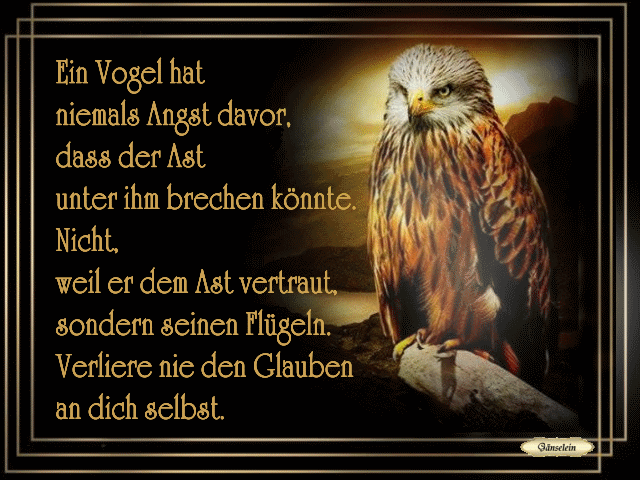 ein Vogel hat niemals Angst