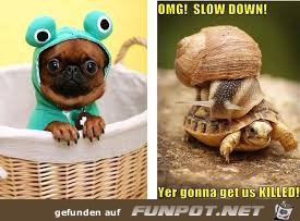 images2ZPLCPT3 images2ZPLCPT3