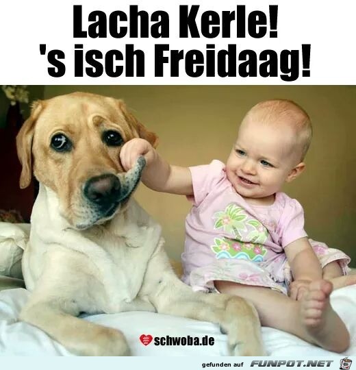 Lachen Lachen
