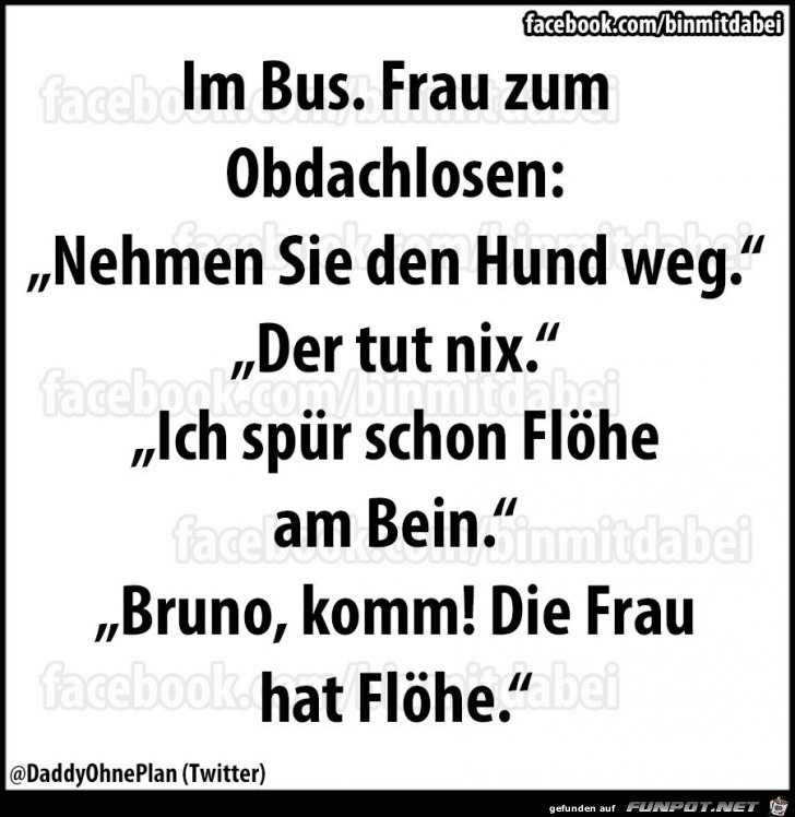 Floehe Floehe
