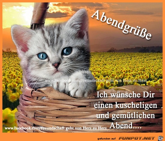 Abendgruesse Abendgruesse