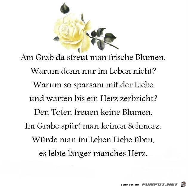 Frische Blumen