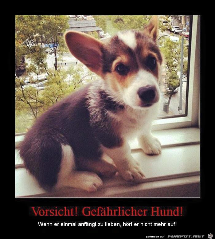 Gefaehrlich Gefaehrlich