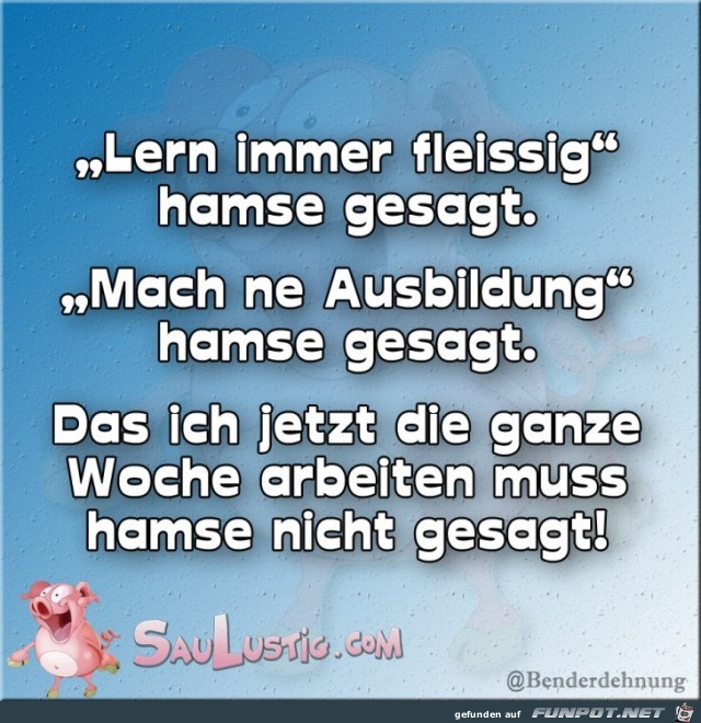Lern-immer-fleissig Lern-immer-fleissig