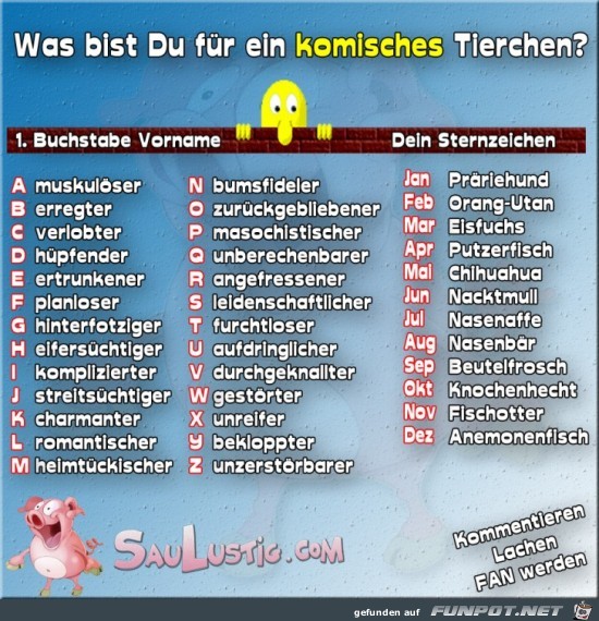 komisches-Tierchen komisches-Tierchen