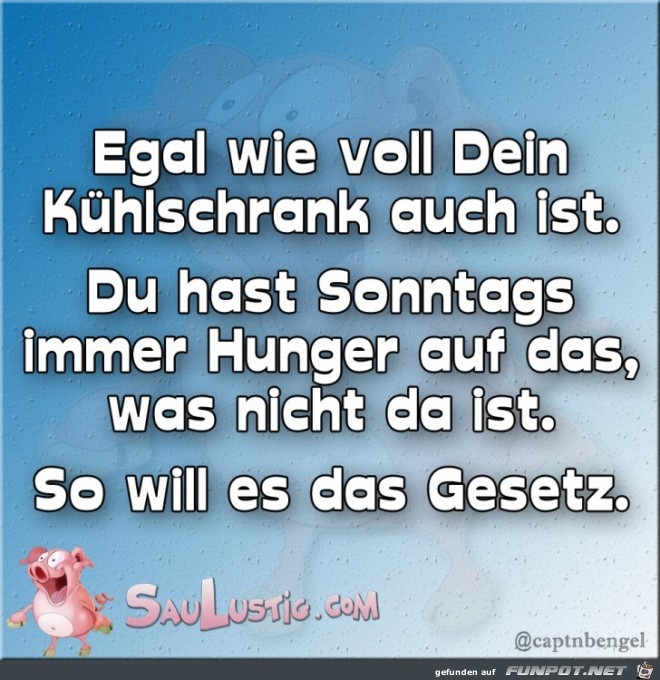 Kühlschrank-ist-voll Kühlschrank-ist-voll
