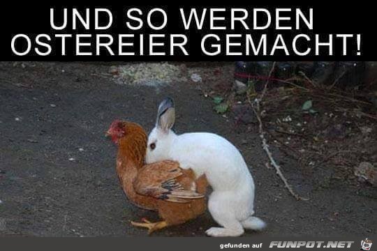 Und so werden Und so werden