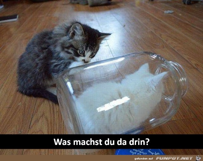 Was machst du Was machst du