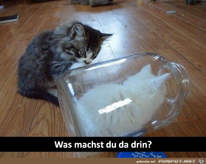 Was machst du