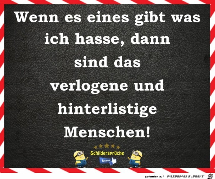 Hass Hass
