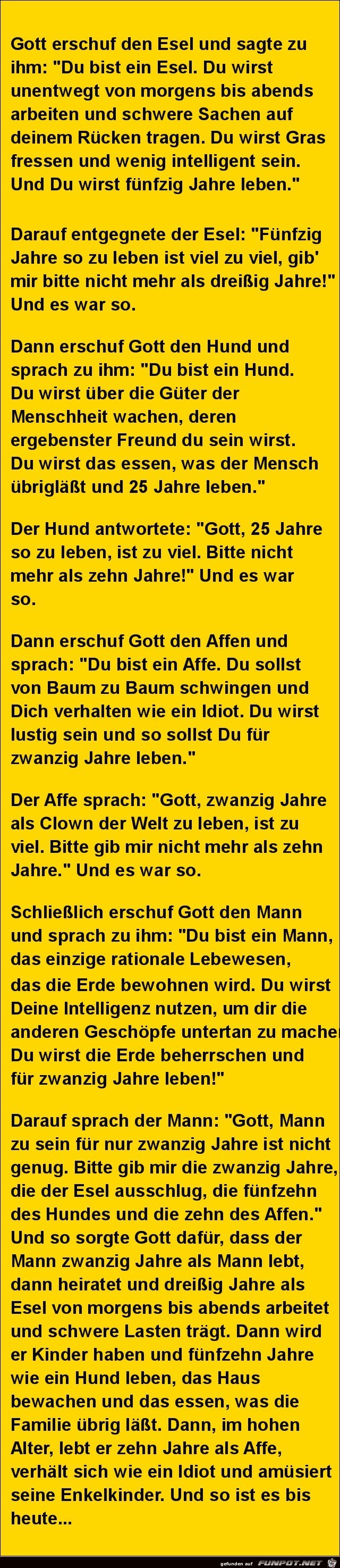 Gott erschuf den Esel Gott erschuf den Esel