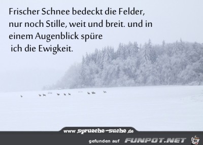 frischer-schnee-bedeckt-die-felder-nur-noch-s