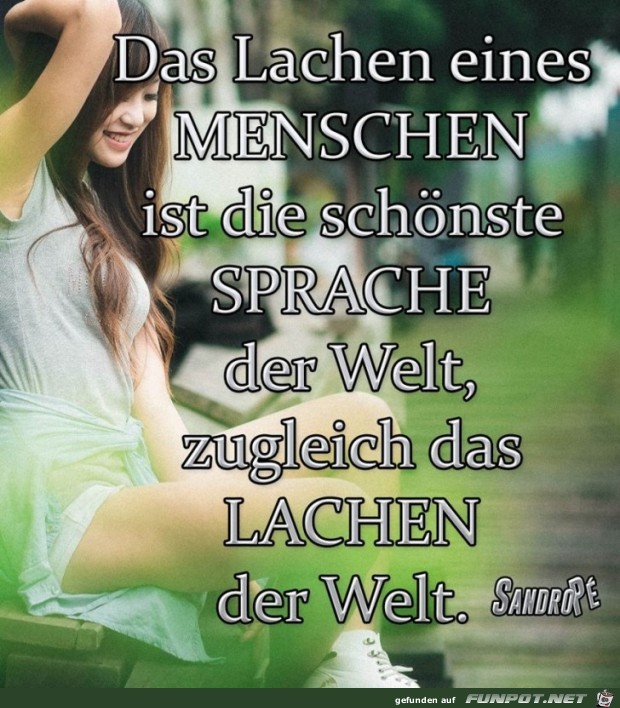 10 schne Sprche und Lebensweisheiten aus...