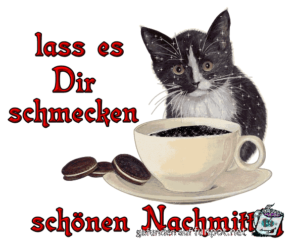 nachmittag 008 nachmittag 008