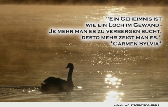 10 schöne Sprüche und Lebensweisheiten aus... 10 schöne Sprüche und Lebensweisheiten aus...