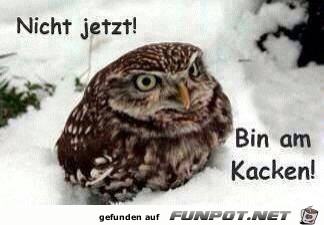 Nicht jetzt Nicht jetzt