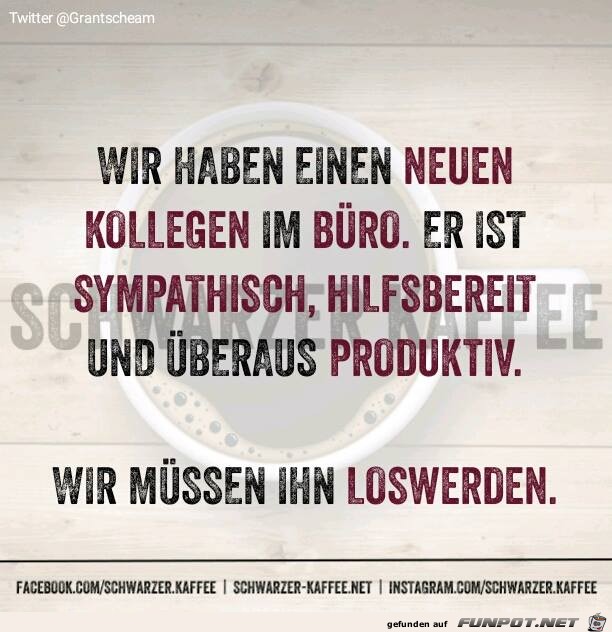 Neuer Kollege Neuer Kollege