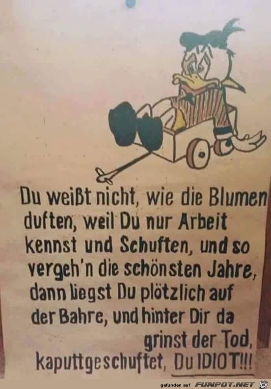 wenn du nicht wei, wie Blumen duften