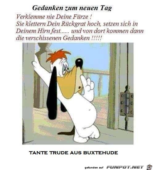 Gedanken zum neuen Tag Gedanken zum neuen Tag