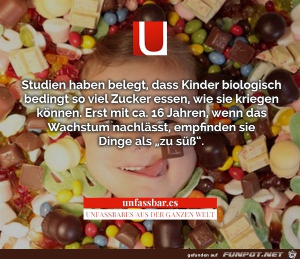Zucker Zucker