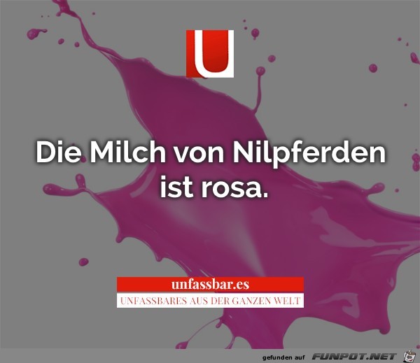 Die Milch von Nilpferden