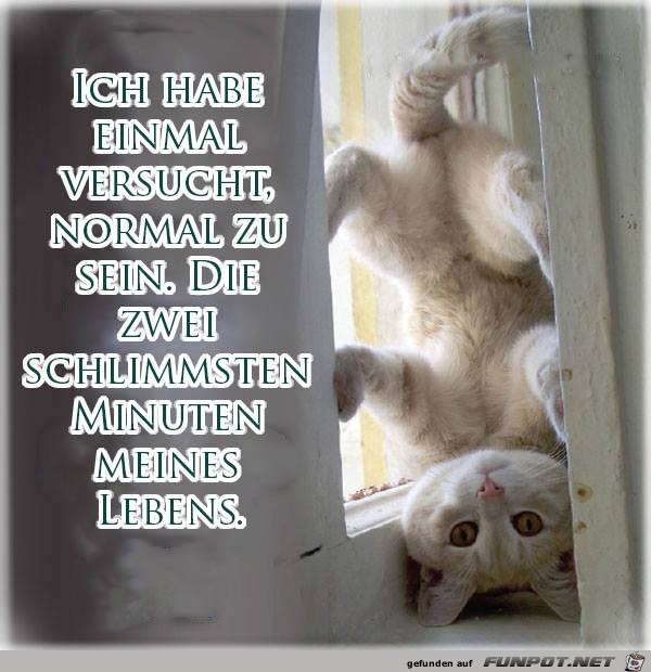 Habe versucht Habe versucht