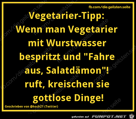 diegeilsten Vegetarier-Tipp