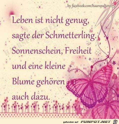 leben-ist-nicht-genug leben-ist-nicht-genug