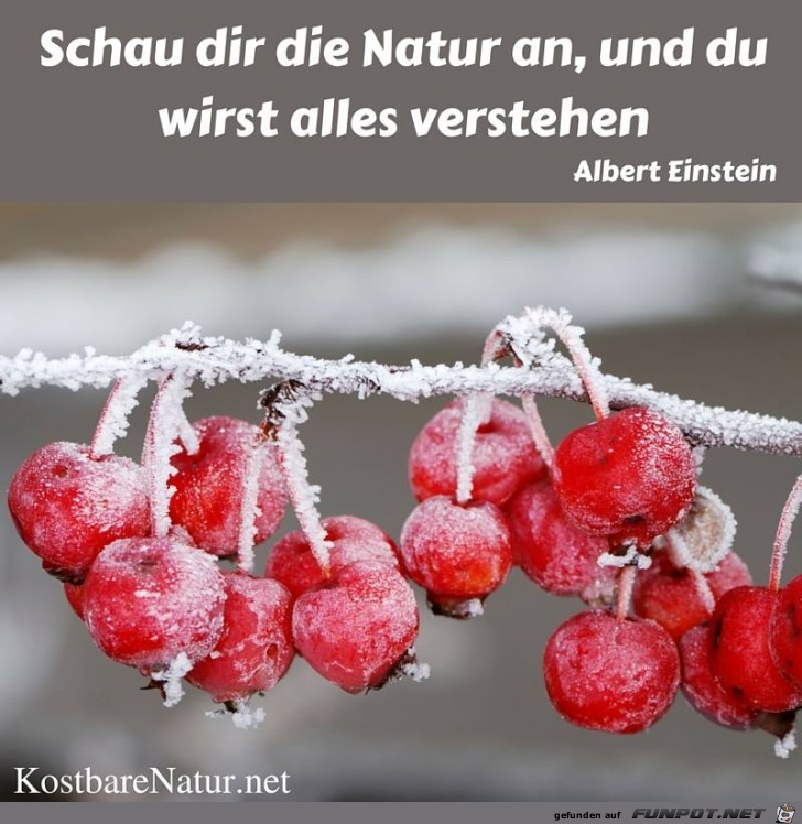 Schau dir die Natur an