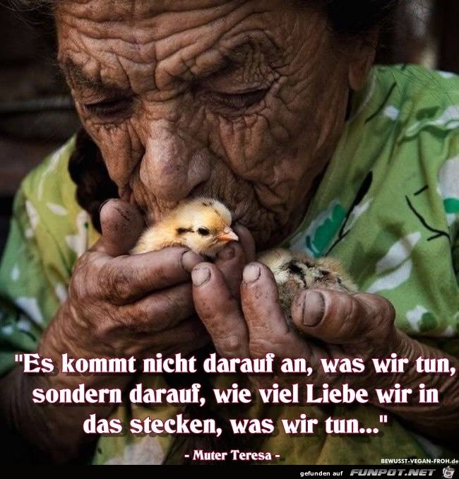 Es kommt nicht darauf an Es kommt nicht darauf an