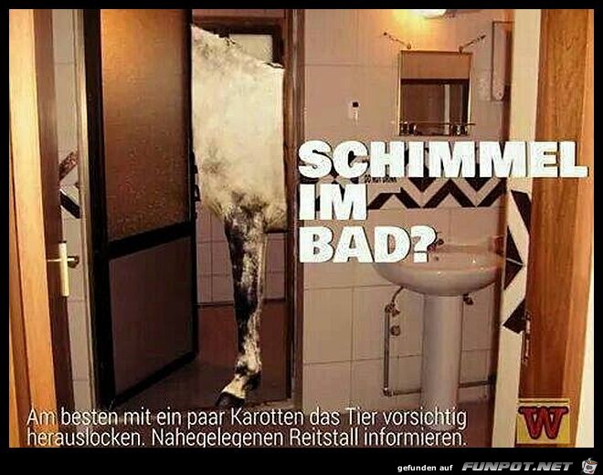 Schimmel im Bad