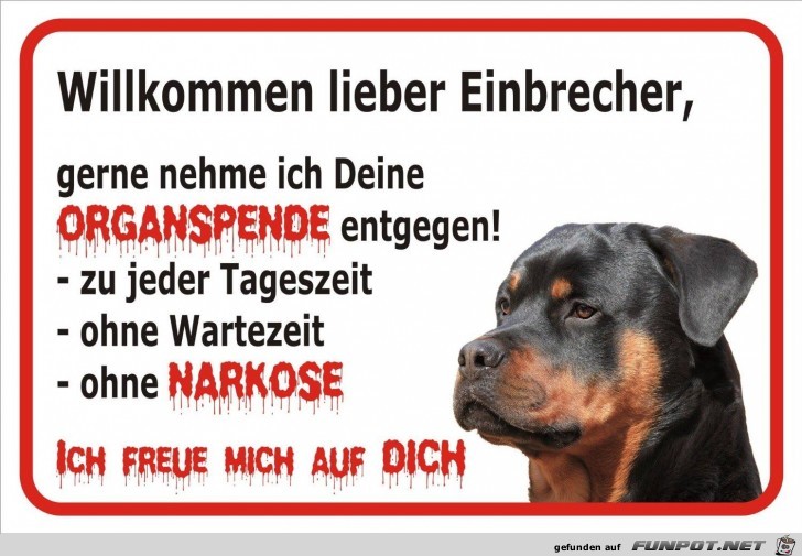 Willkommen Einbrecher Willkommen Einbrecher