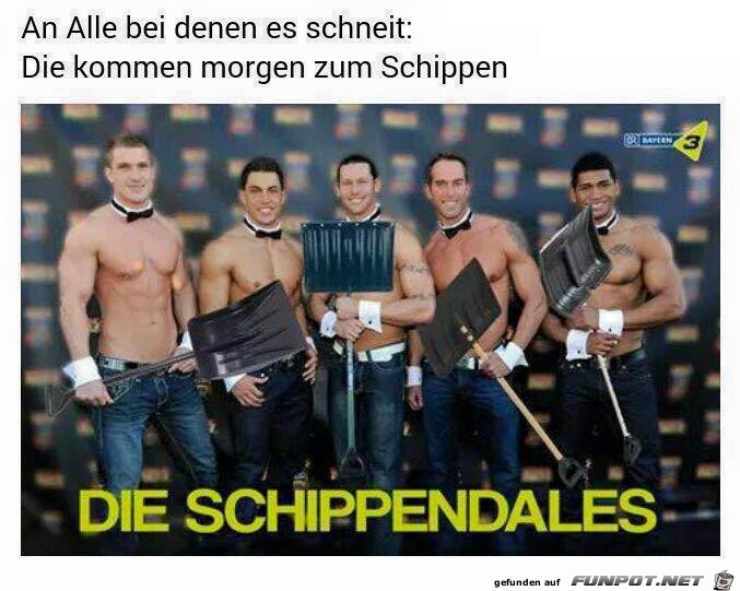 Die Schippendales