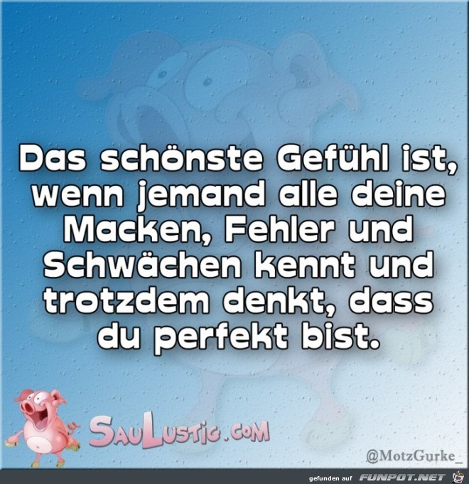 Das-schönste-Gefühl Das-schönste-Gefühl