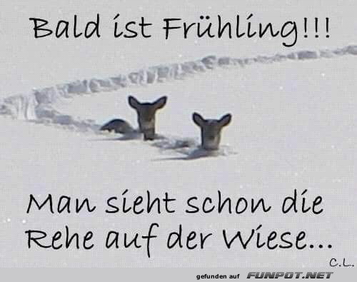 FrühlingIMG-20160124-WA0005 FrühlingIMG-20160124-WA0005