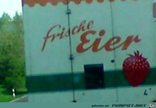 frische Eier frische Eier