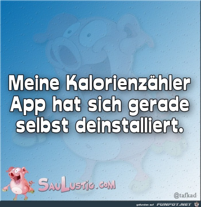 Meine Kalorienzhlerapp