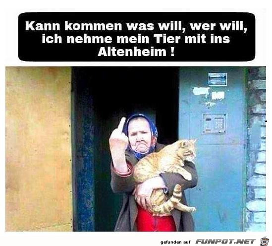 kann kommen was will kann kommen was will