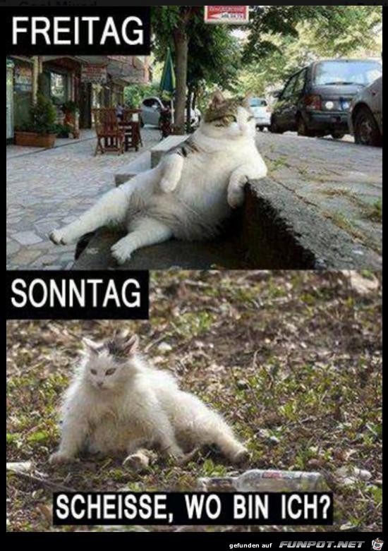 Freitag-- Sonntag Freitag-- Sonntag