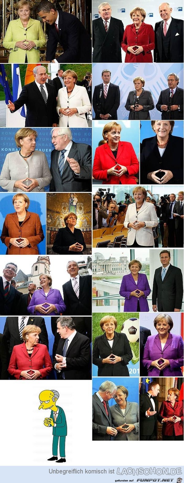 Die merkelraute Die merkelraute