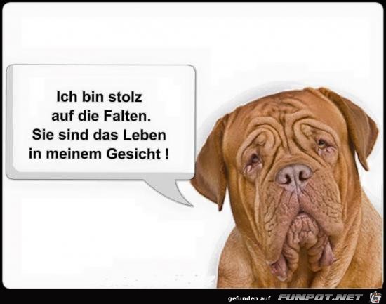 Ich bin stolz auf die Falten Ich bin stolz auf die Falten